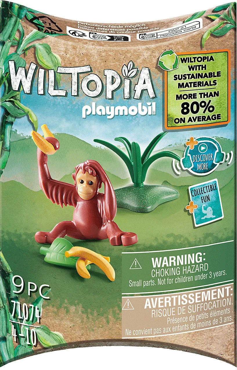 71074 Young Orangutan