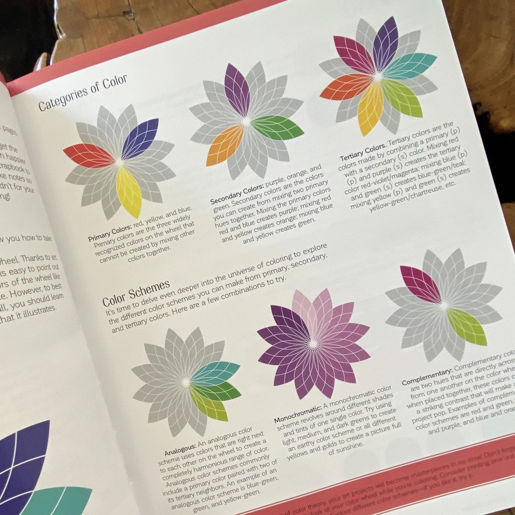 Brain Boosting Coloring Set! Who Doesn't Need to Sharpen Her Brain?