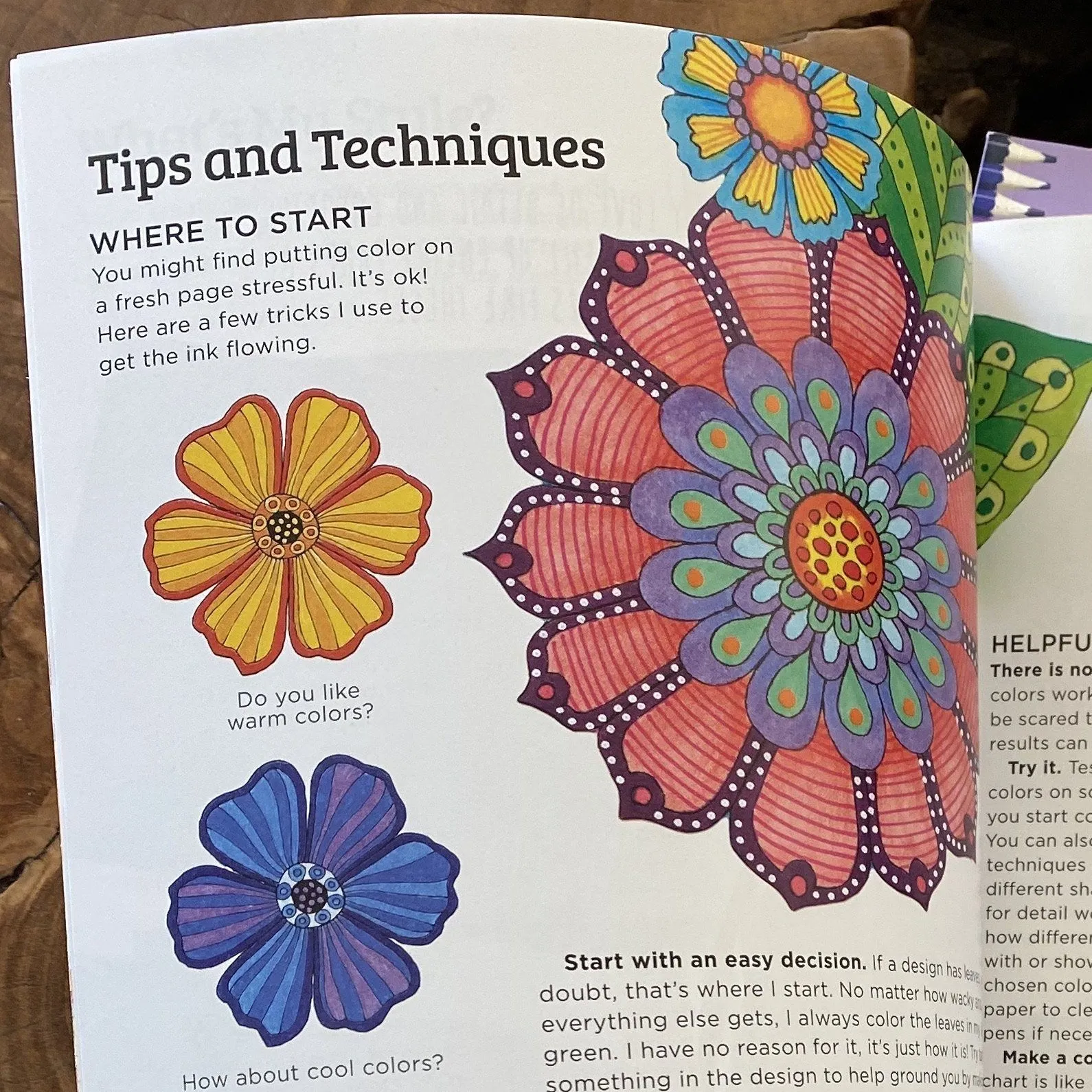 Brain Boosting Coloring Set! Who Doesn't Need to Sharpen Her Brain?