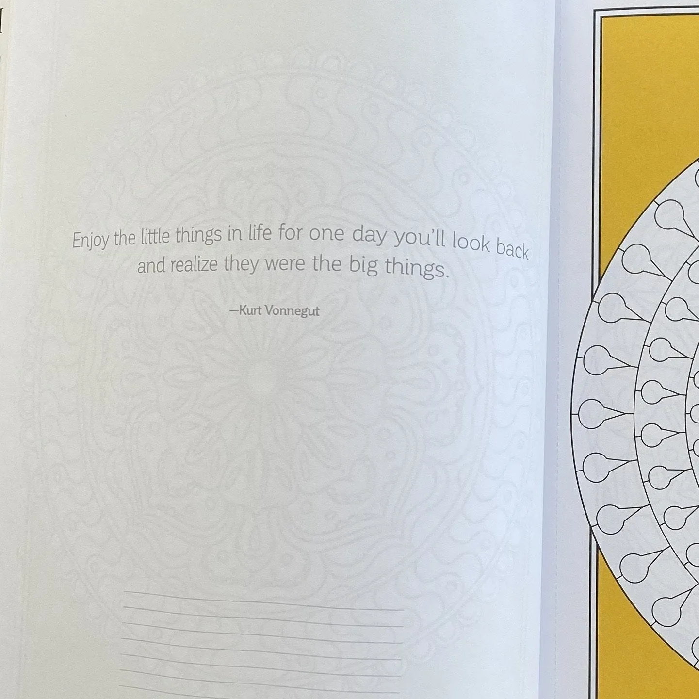 Brain Boosting Coloring Set! Who Doesn't Need to Sharpen Her Brain?