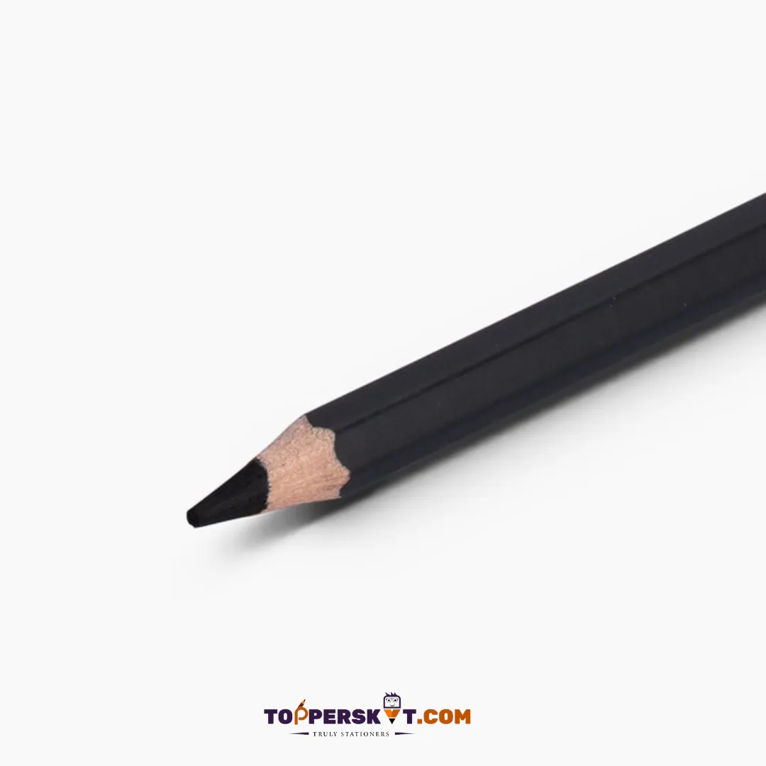 Camlin Charcoal Pencil - Soft ( Pack Of 10 )