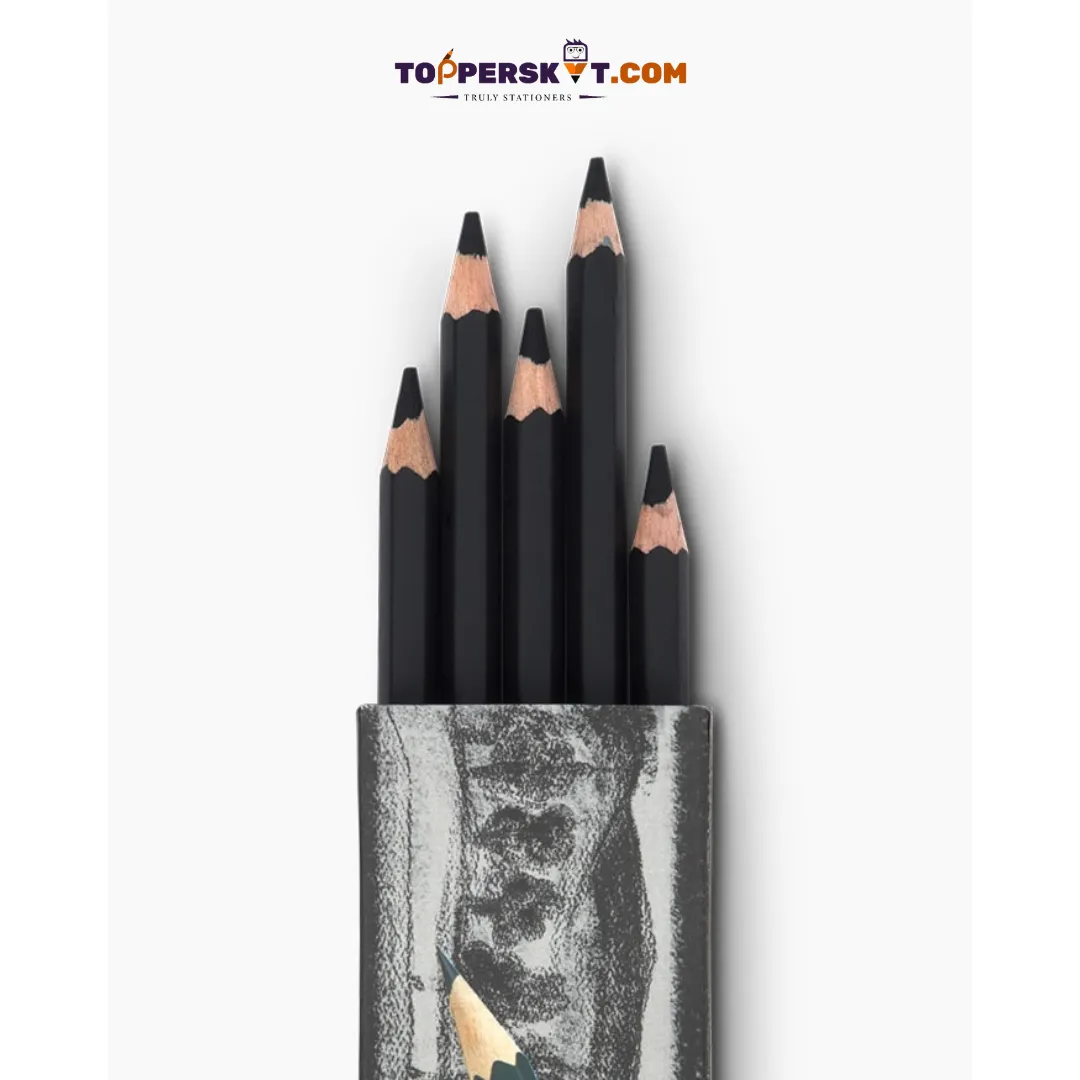 Camlin Charcoal Pencil - Soft ( Pack Of 10 )