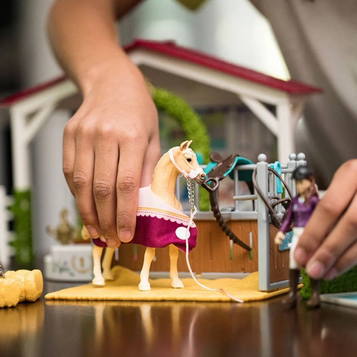Friendship Horse Tournament