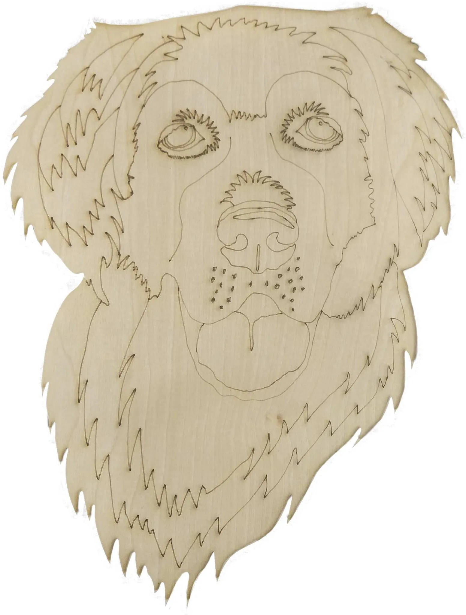 Golden Retriever-DIY Pop Art Paint Kit