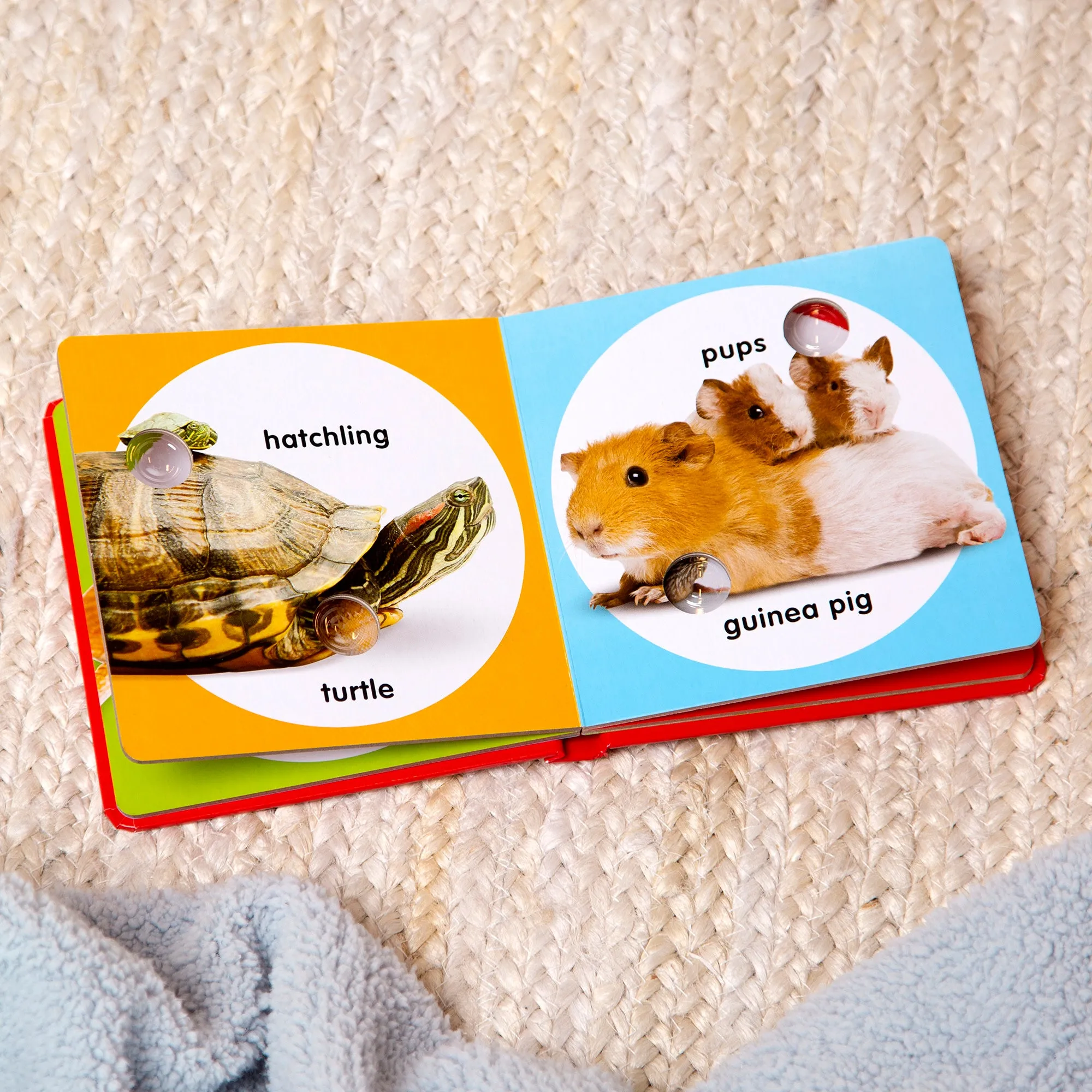 Poke-a-Dot: Pet Families Board Book