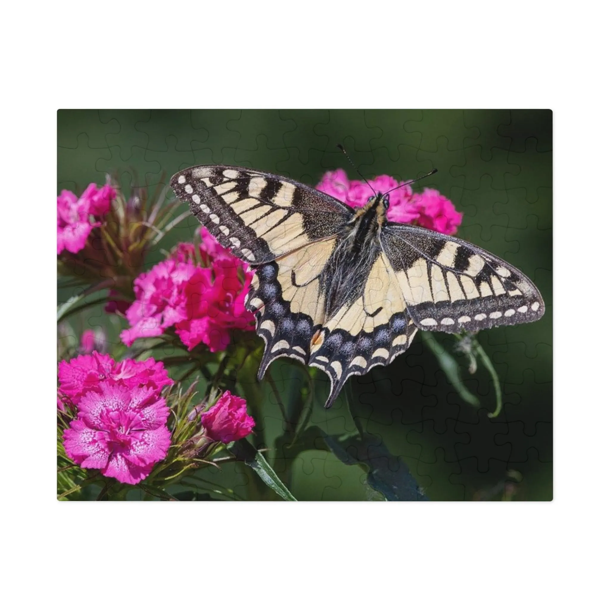 Spring Butterfly Jigsaw Puzzle
