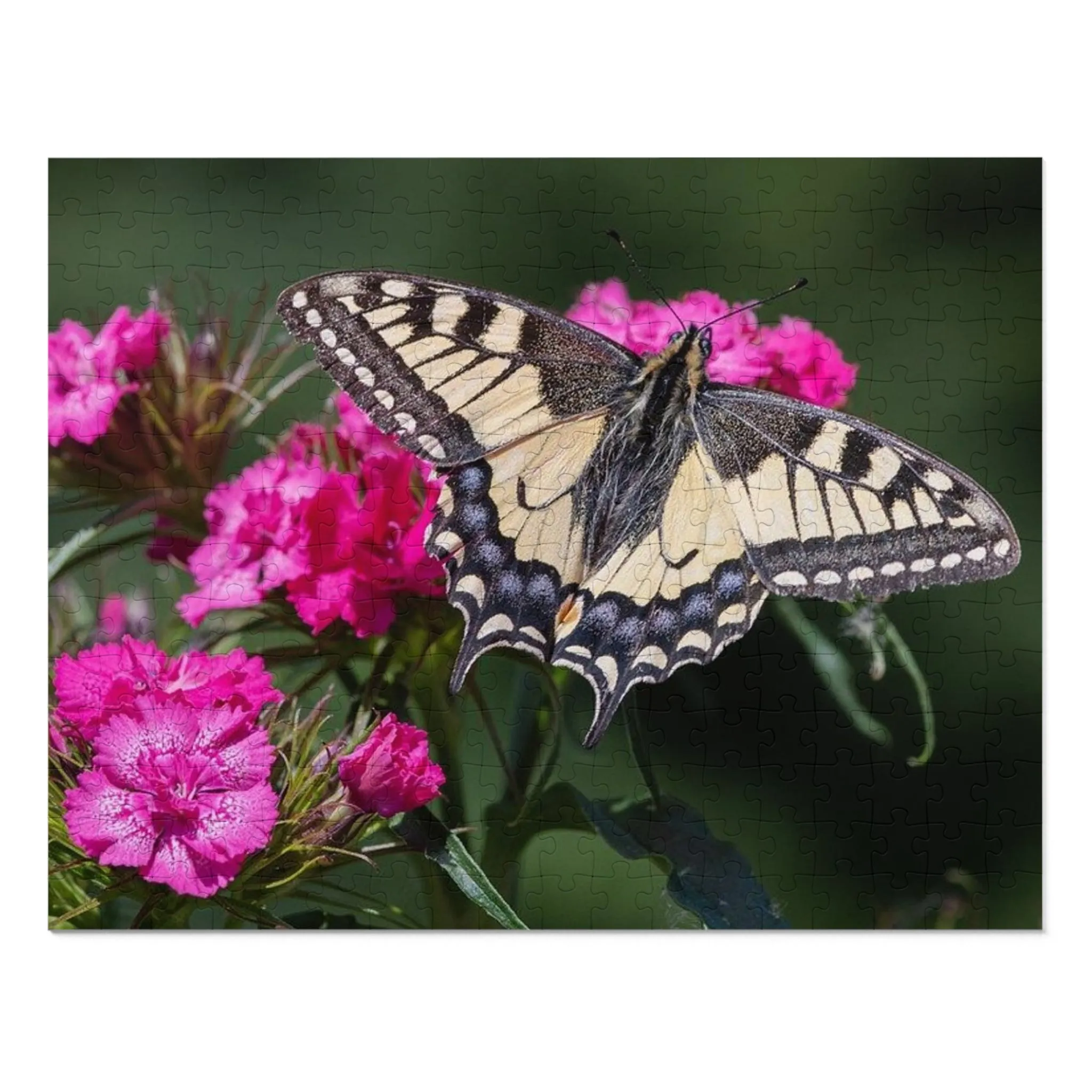 Spring Butterfly Jigsaw Puzzle