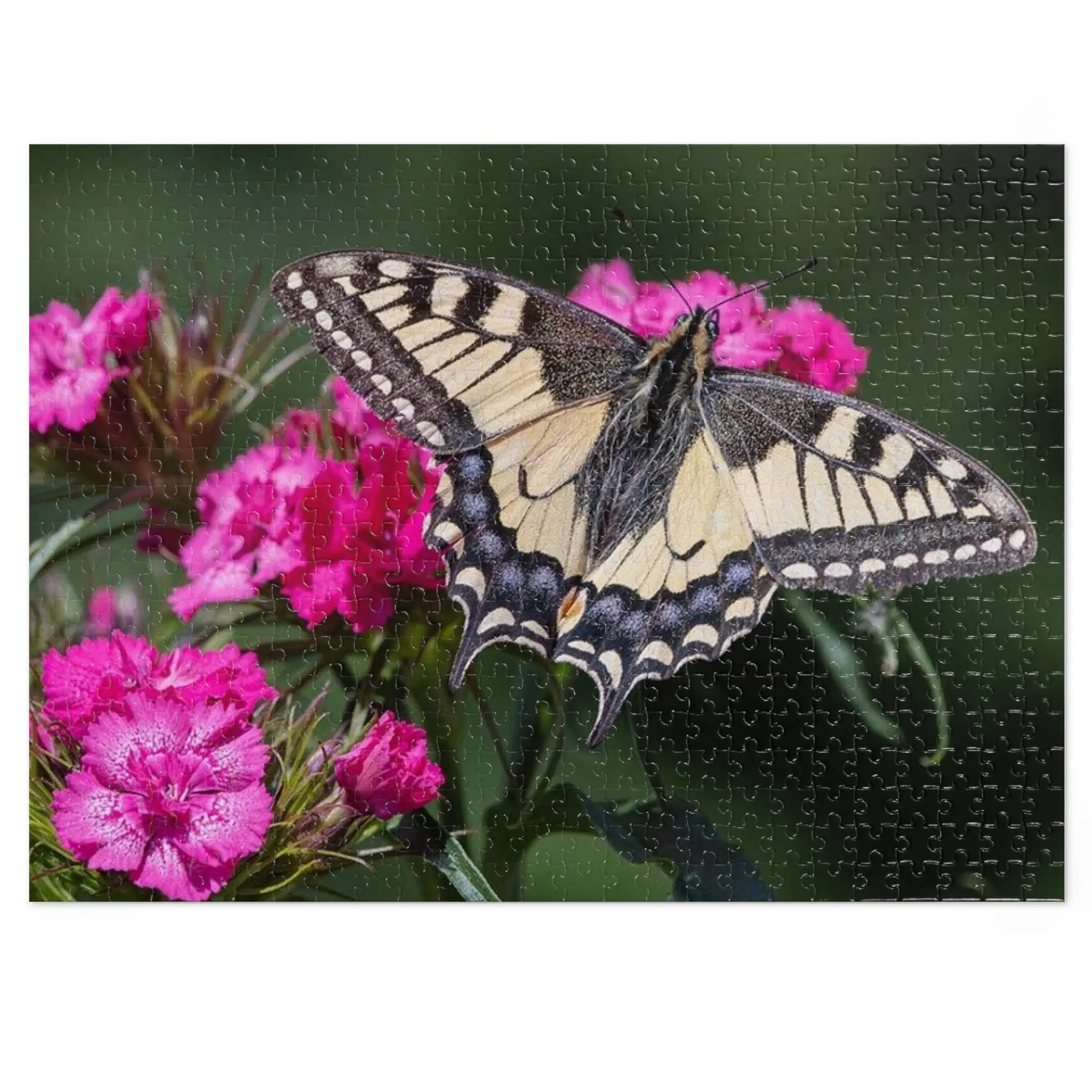 Spring Butterfly Jigsaw Puzzle